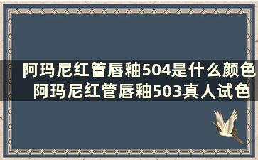 阿玛尼红管唇釉504是什么颜色 阿玛尼红管唇釉503真人试色